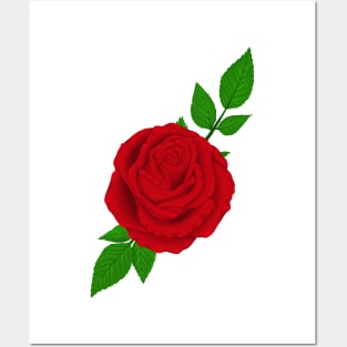 Red Rose Colored Posters and Art